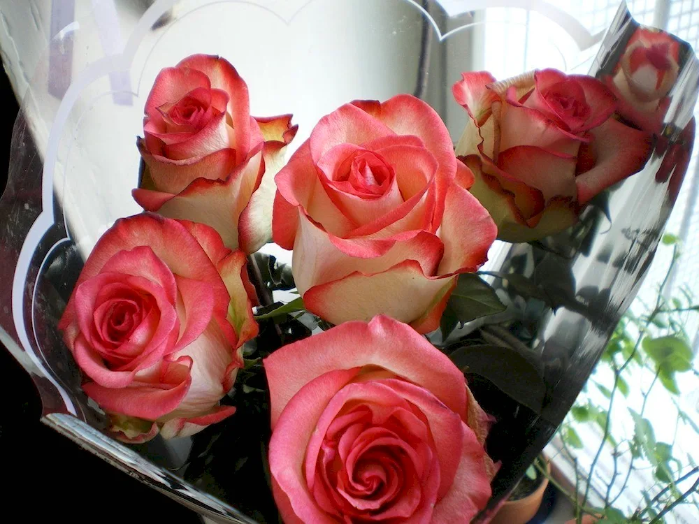 Bouquet of roses at home