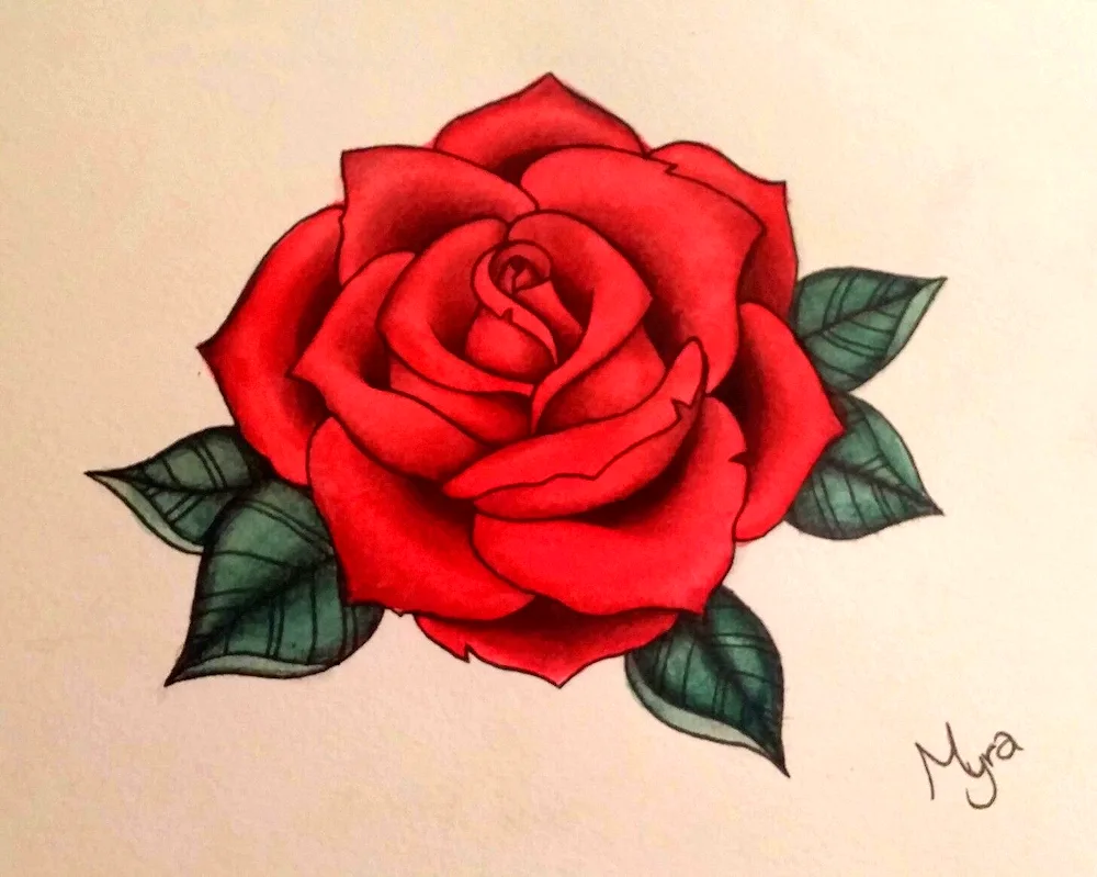 Pencil drawing