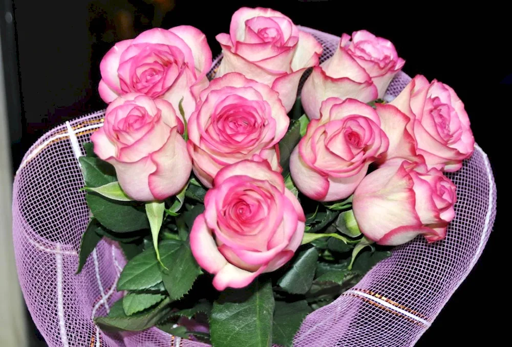 Roses on the windowsill