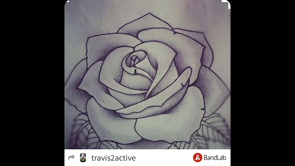 Pencil drawing
