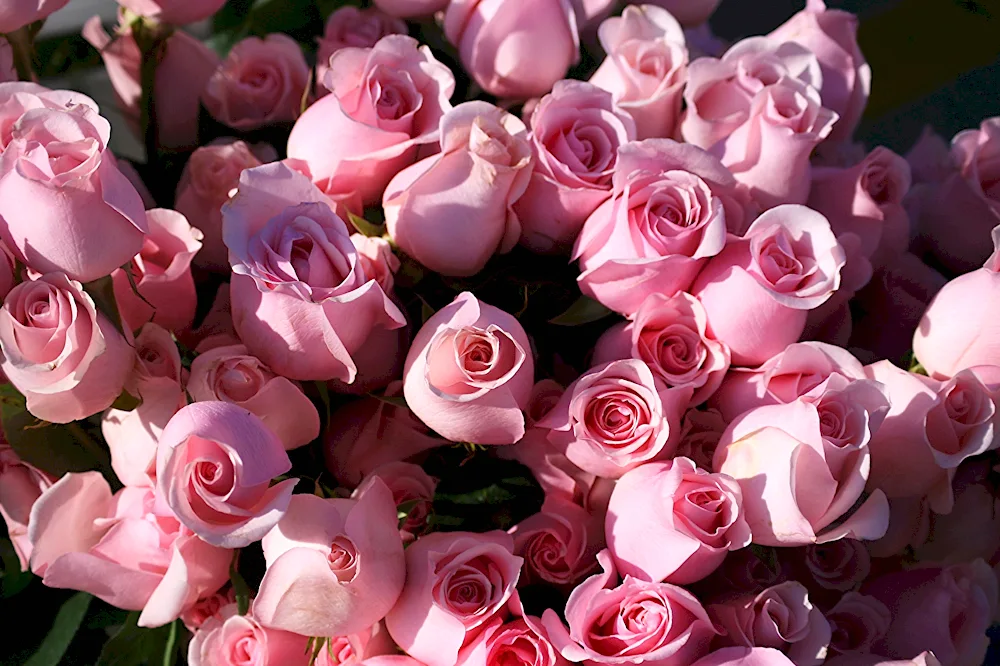 Red rose bouquet