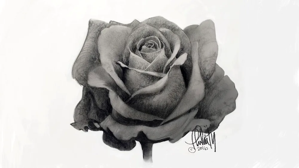 Pencil drawing