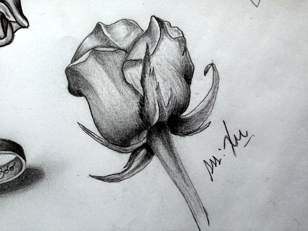 Easy drawings