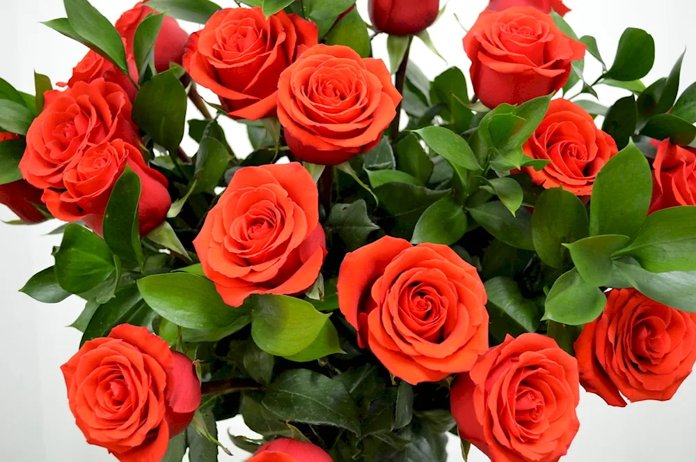 Pretty bouquet of scarlet roses