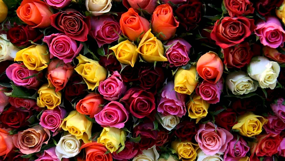 Austin Rose Bouquet