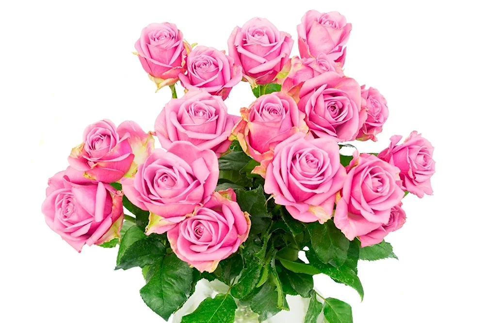 Rose All Fo Love