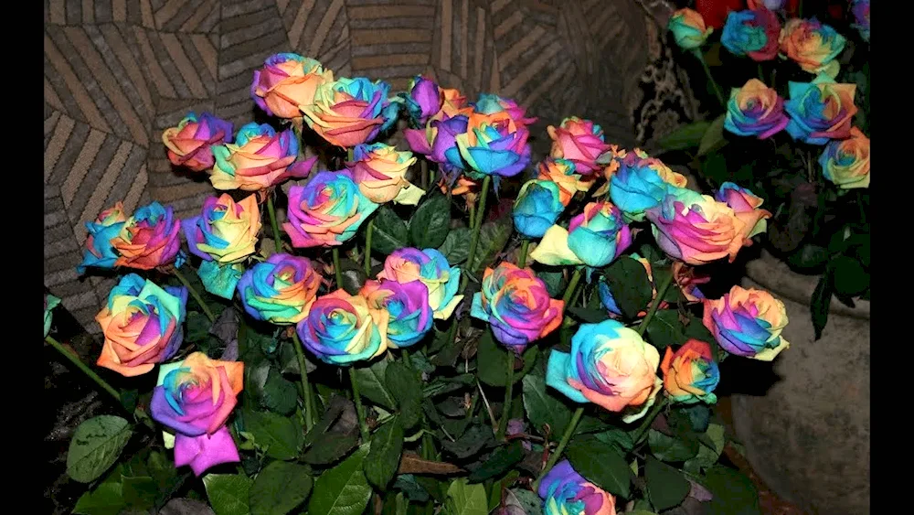 Rose Rainbow