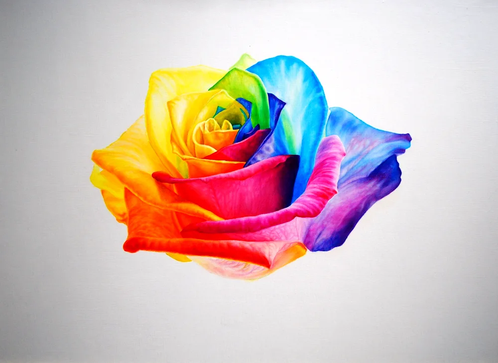 Flowers with coloured pencils