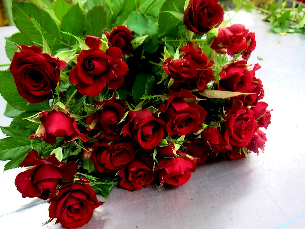 Rose bouquet of roses