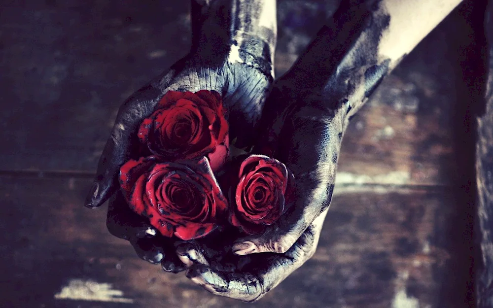 Rose in the hand