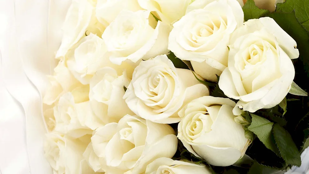 White rose bouquet