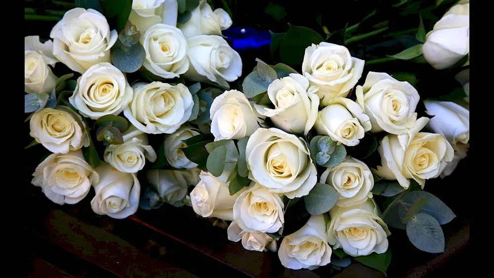 White Christmass rose