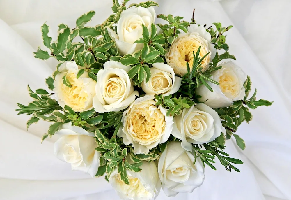 Beautiful white roses