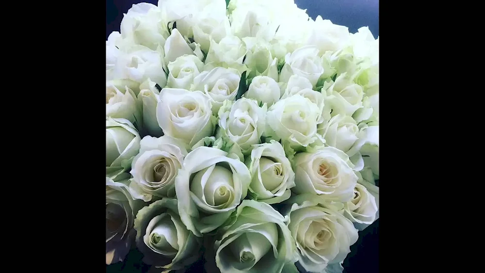 White roses