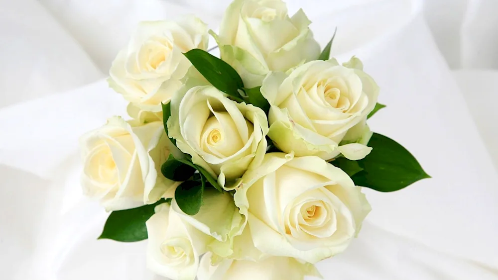 White roses