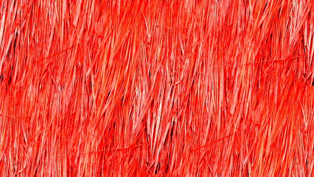 Hay texture