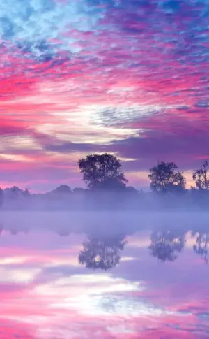 Pink sky