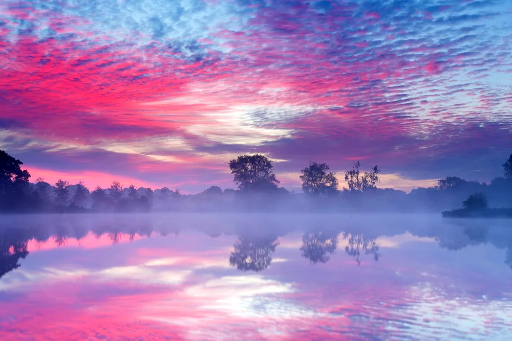 Pink sky