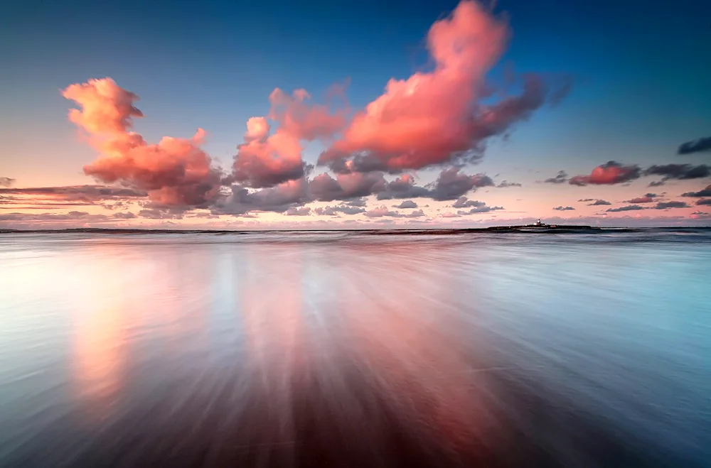 Pink sunset