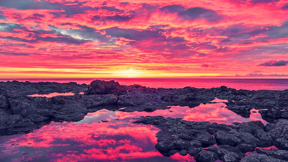 Pink sunset