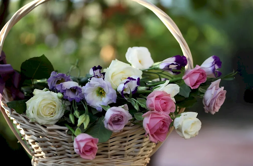 Roses and eustoma