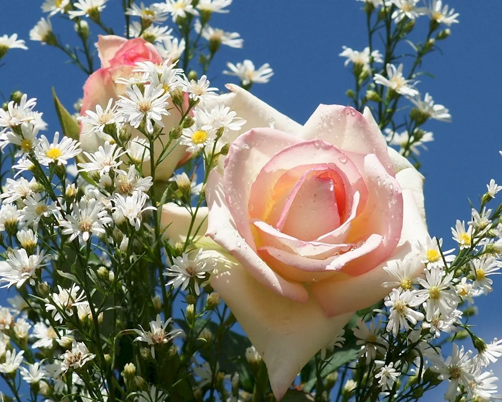 Beautiful bouquet flowers