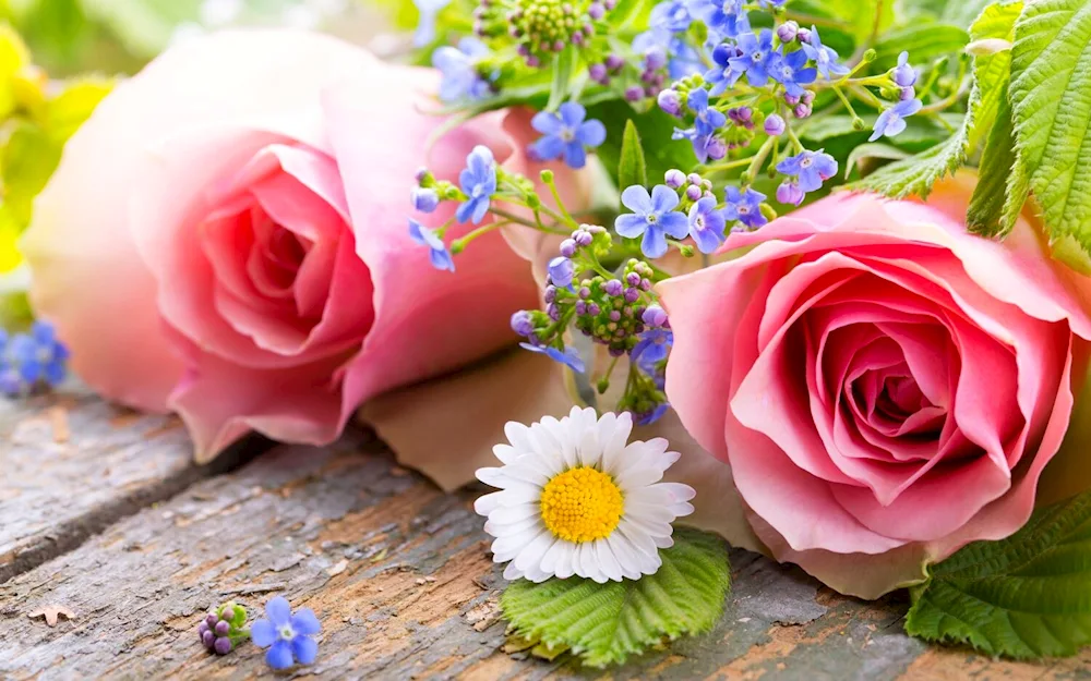 Bride's bouquet of daisies and gypsophila