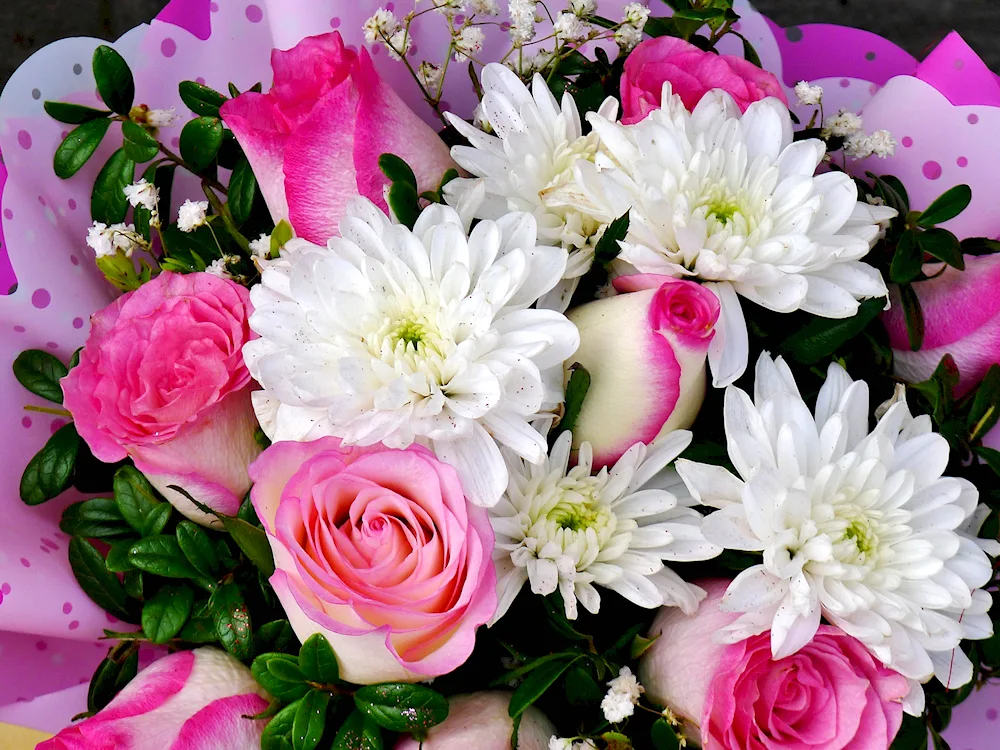Roses chrysanthemums lilies aster