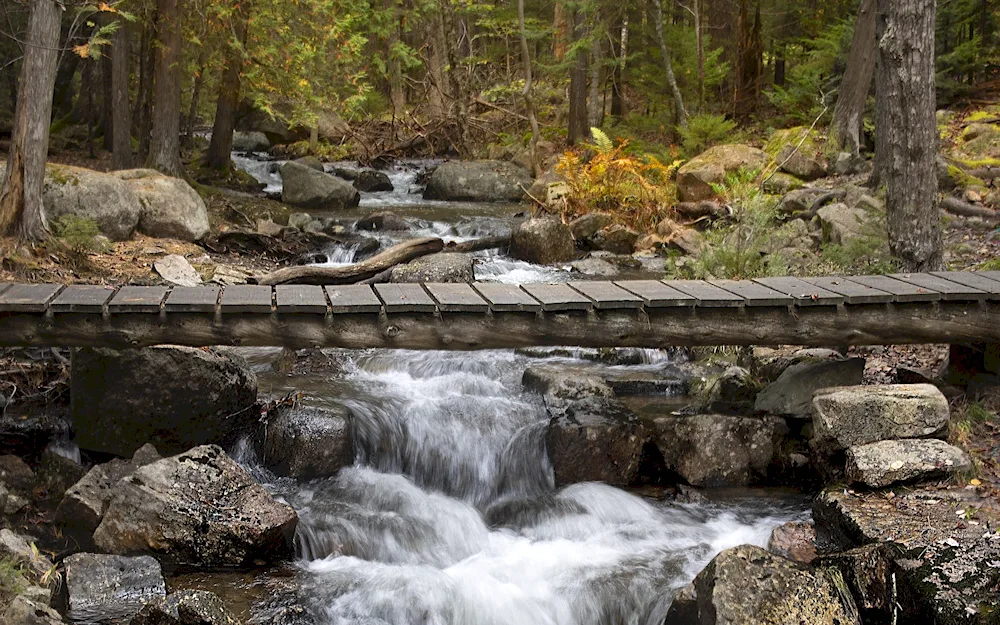 Water cascade