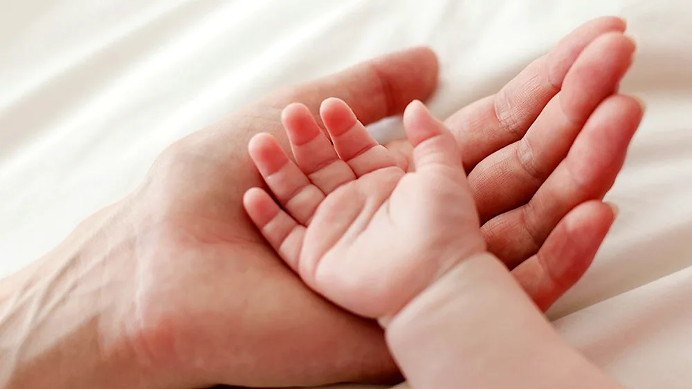 Family hands