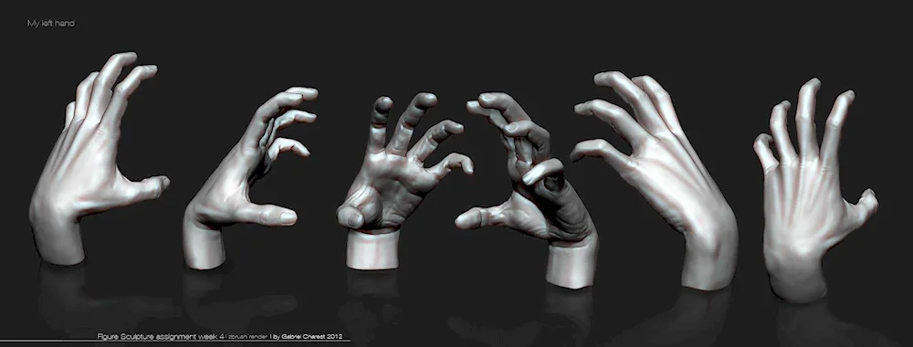 Hand reference