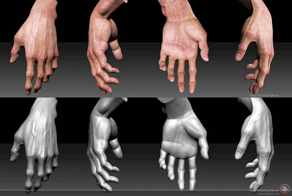 Hand reference 3d