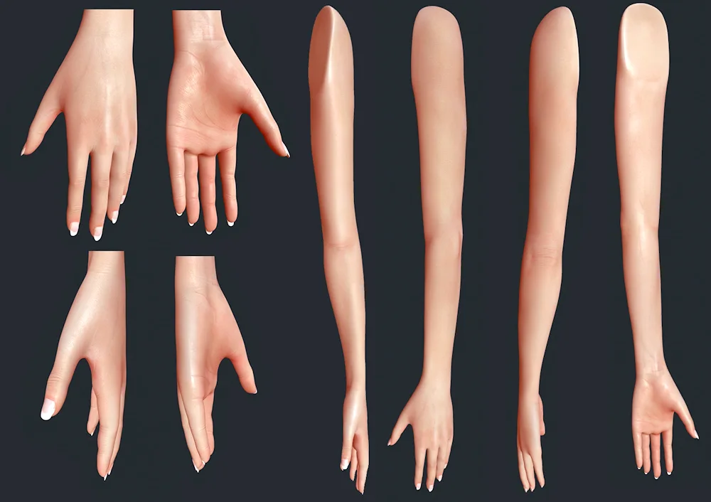 Hands reference 3d