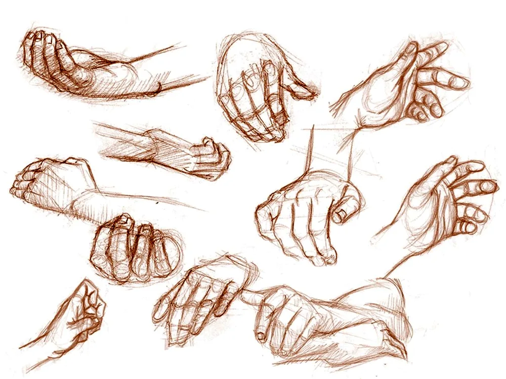 Hand reference