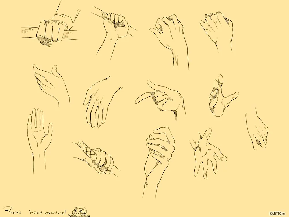 Pictures for sketching hands