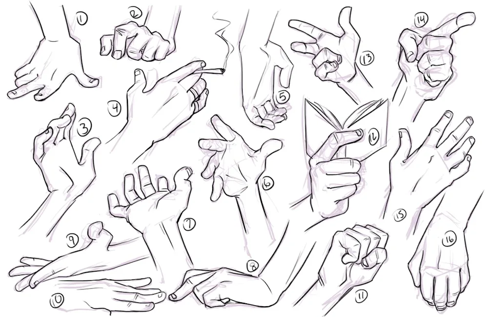 Human muscles Hand anatomy reference hand