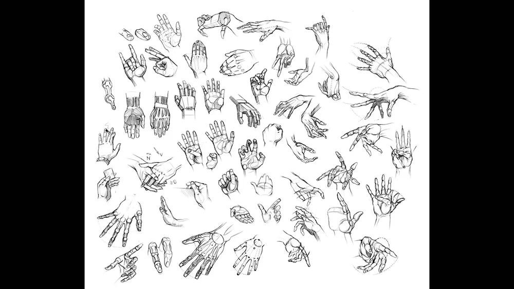 Hands for drawing