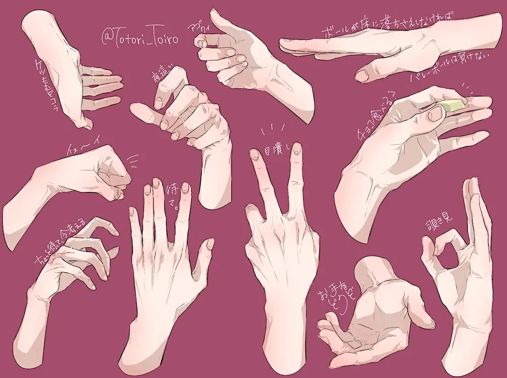 Hand front reference