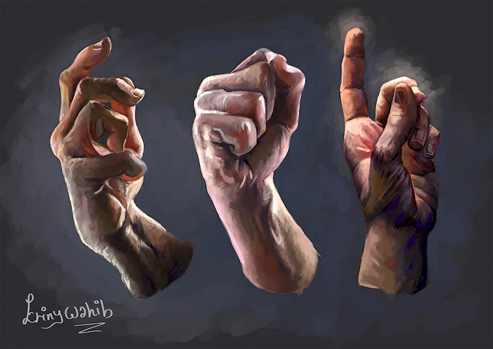 Hand reference 3d