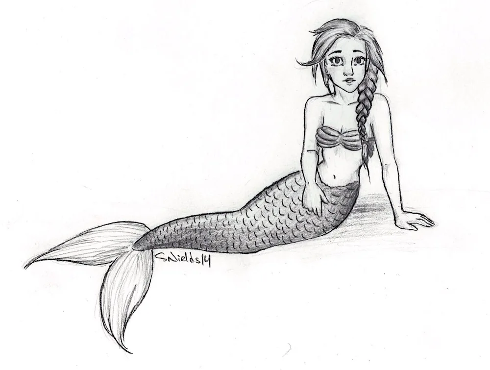Mermaid pencil drawing