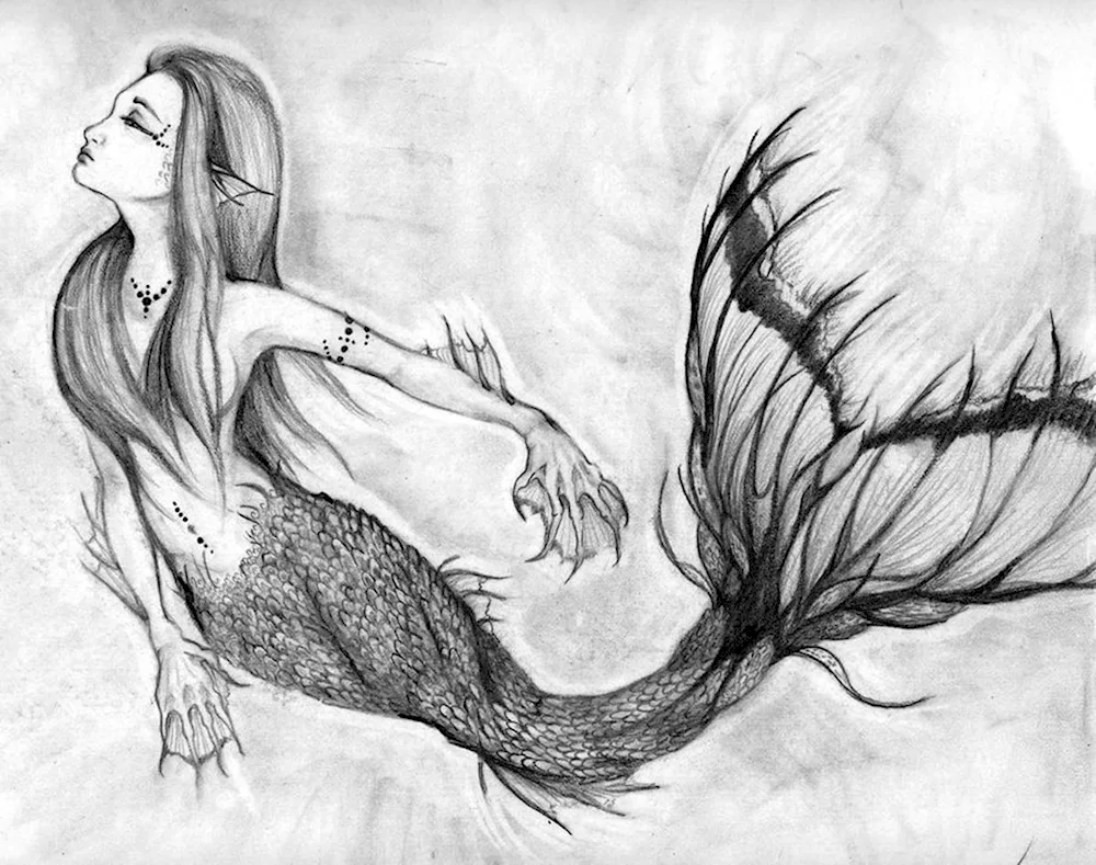 Mermaid Ariel