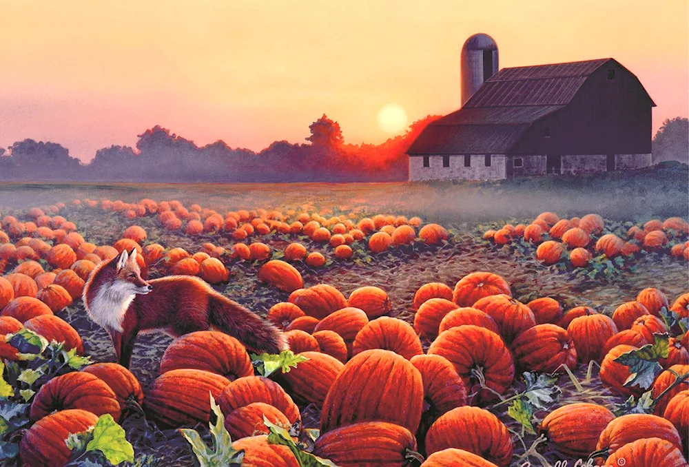 Autumn harvest vegetable garden