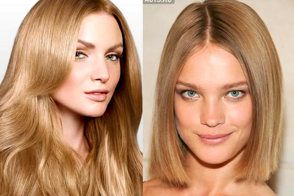 Loreal wheat blond