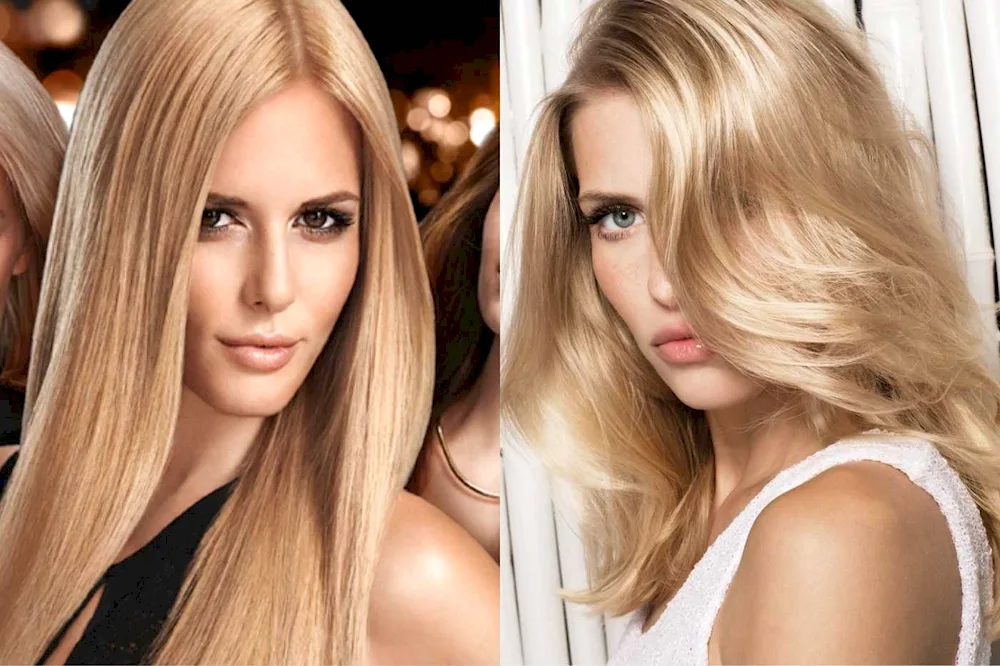 Russo caramel ash blond