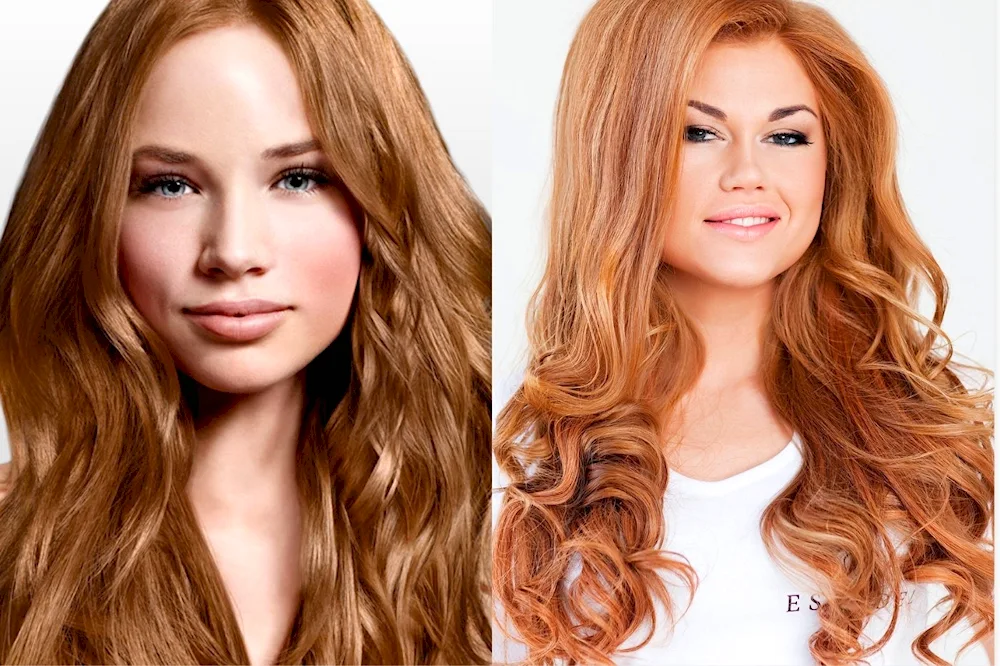 Russo Honey Hair Colour