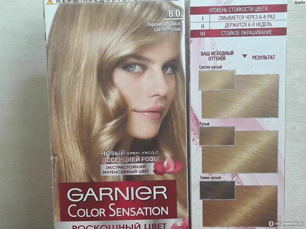 Russy hair shades garnier palette