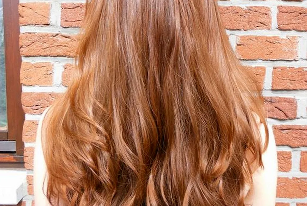 Russy hair dyed with henna