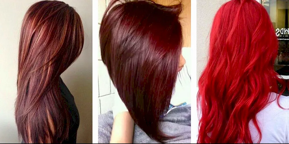 Russy hair. hair with red tint