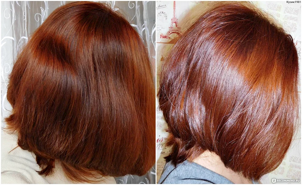 Copper russet Estelle 74