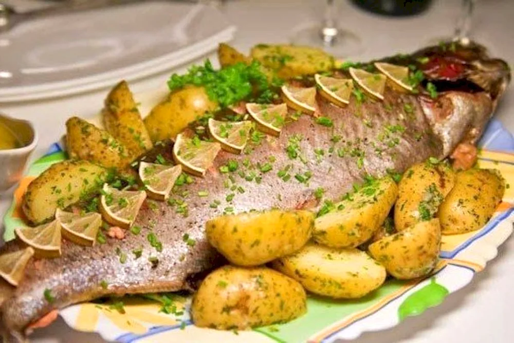 Pike stuffed Sudak pike